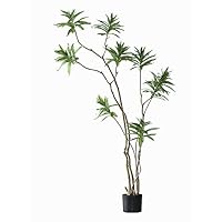 Amazon｜DEPOS デポス フェイクグリーン ジャカランダ 170cm